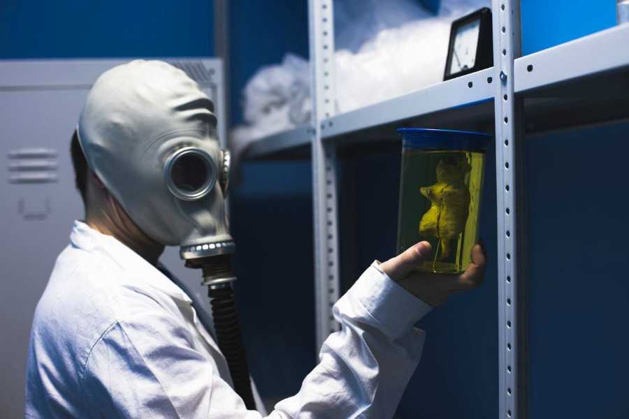 Квест в реальности Сибирская язва от компании Клетка Квест в реальности Сибирская язва от компании Клетка