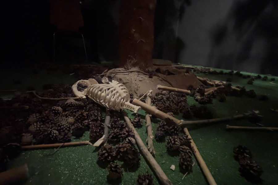 Квест в реальности Кукла Аннабель: по следам ужаса от компании Star Fox Квест в реальности Кукла Аннабель: по следам ужаса от компании Star Fox